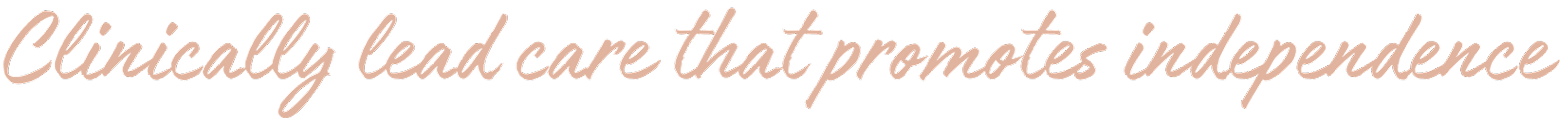 HSW Care Logo